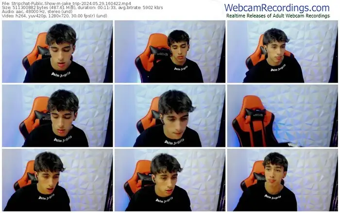 2024/05/29/stripchat-jake_trip-16-04-22