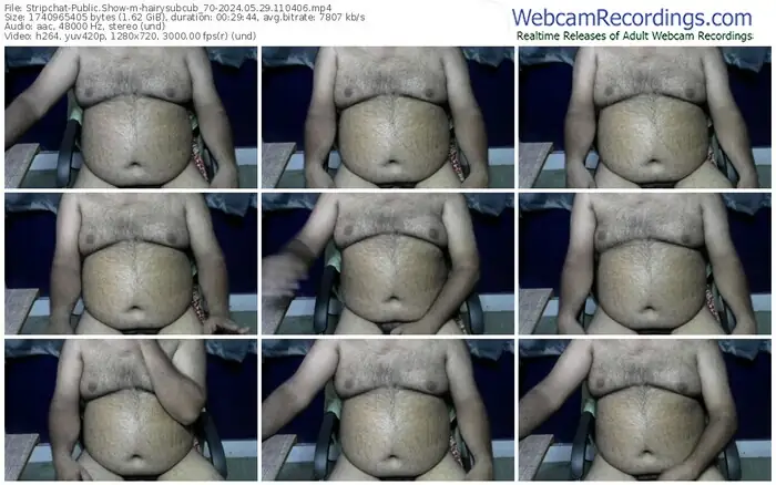 2024/05/29/stripchat-hairysubcub_70-11-04-06