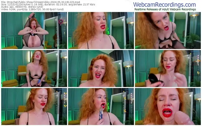 2024/05/30/stripchat-dreamvikky-18-12-23