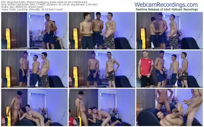 2024/05/30/stripchat-badguyss_bisex-16-30-48