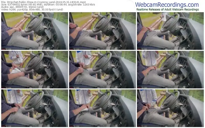 2024/05/31/stripchat-cruising_land-18-31-41