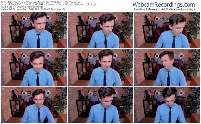 2024/05/31/stripchat-stevetiger-15-35-24