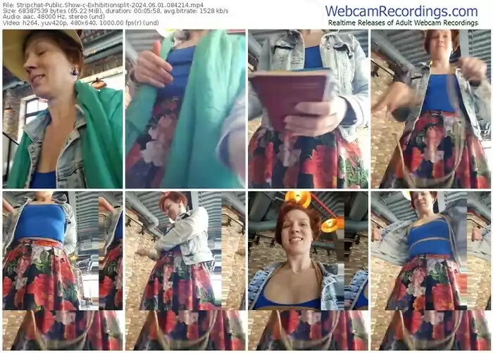 2024/06/01/stripchat-exhibitionsplit-08-42-14