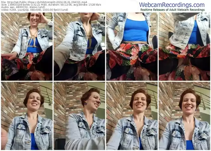 2024/06/01/stripchat-exhibitionsplit-09-43-21