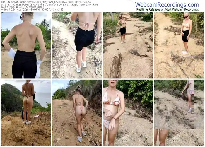 2024/06/01/stripchat-two_hot_cats_love-09-31-35