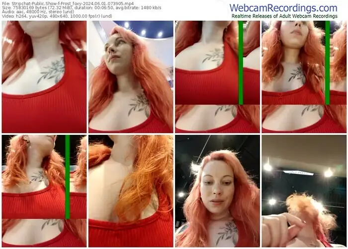 2024/06/01/stripchat-frost_foxy-07-39-05