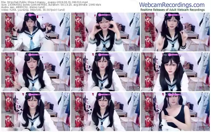 2024/06/01/stripchat-happy-_-puppy-08-10-10