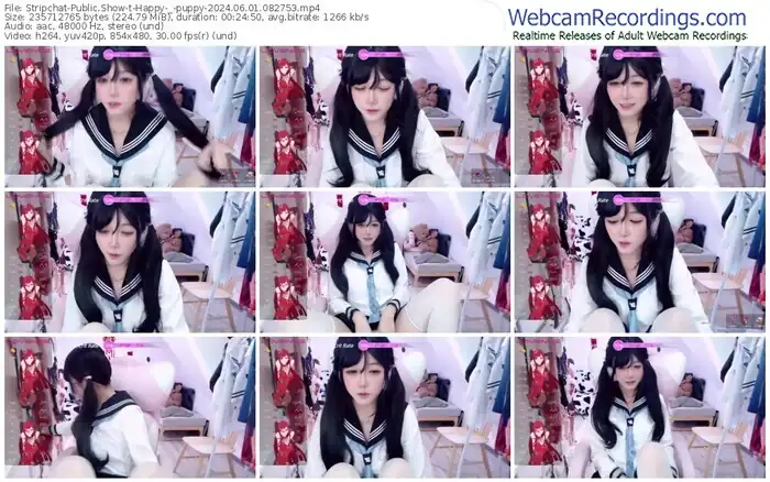 2024/06/01/stripchat-happy-_-puppy-08-27-53