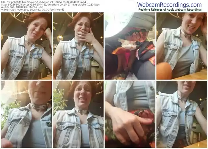 2024/06/02/stripchat-exhibitionsplit-07-48-11