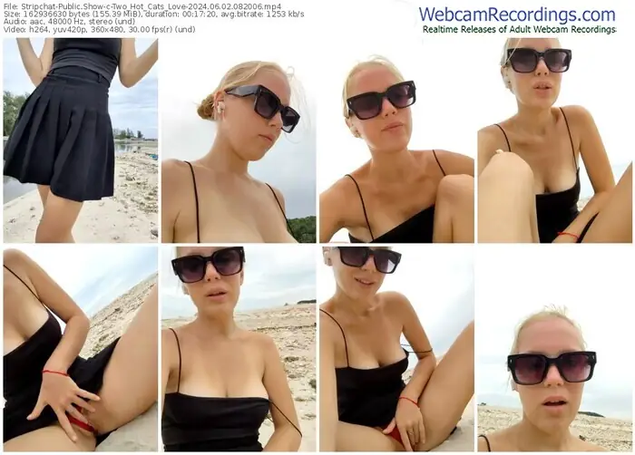 2024/06/02/stripchat-two_hot_cats_love-08-20-06