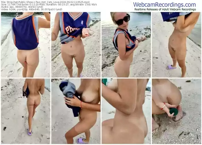 2024/06/02/stripchat-two_hot_cats_love-11-05-25