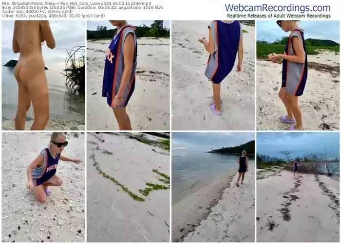 2024/06/02/stripchat-two_hot_cats_love-11-22-36