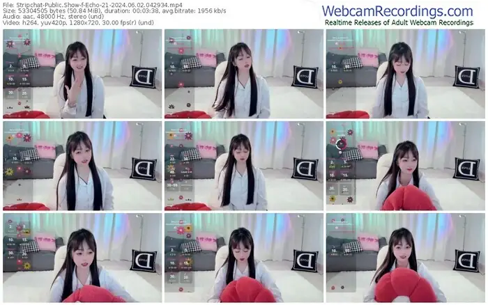 2024/06/02/stripchat-echo-21-04-29-34