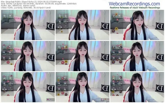 2024/06/02/stripchat-echo-21-07-09-04