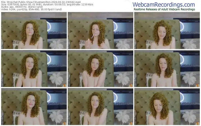 2024/06/02/stripchat-evehamilton-23-09-42
