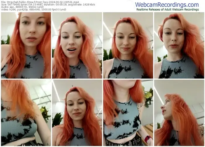 2024/06/02/stripchat-frost_foxy-10-05-31