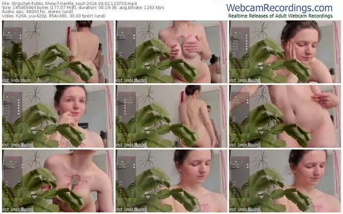 2024/06/02/stripchat-gentle_soull-12-37-03