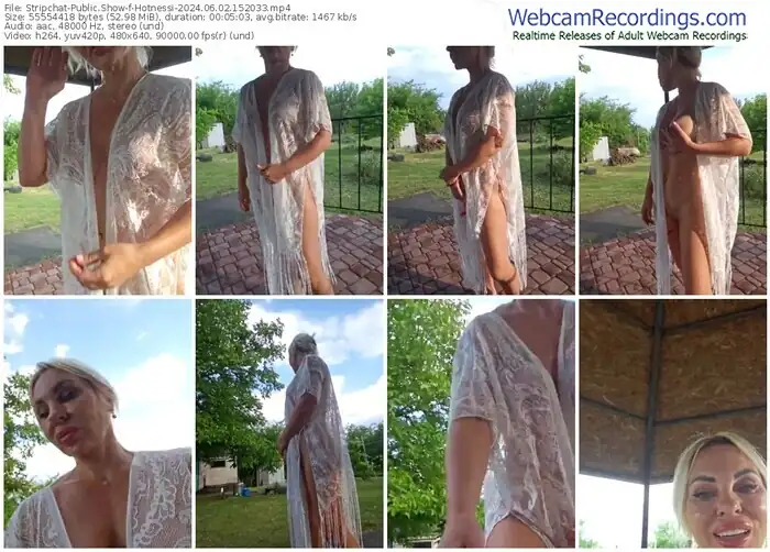 2024/06/02/stripchat-hotnessi-15-20-33