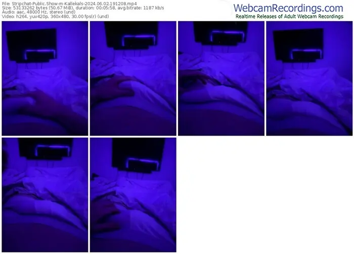 2024/06/02/stripchat-kallekals-19-12-08