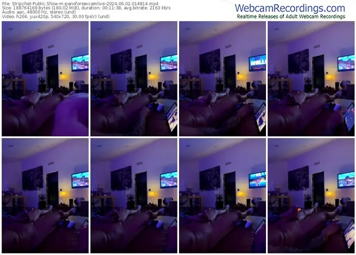 2024/06/02/stripchat-panoforsexcamlive-01-48-14