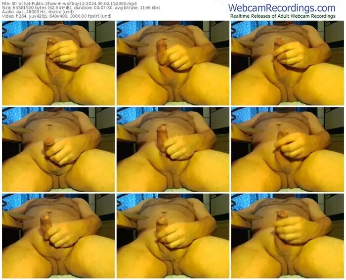 2024/06/02/stripchat-wolfboy12-15-23-00