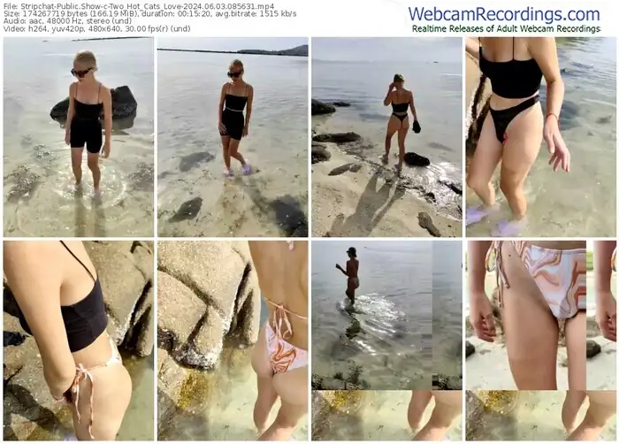 2024/06/03/stripchat-two_hot_cats_love-08-56-31