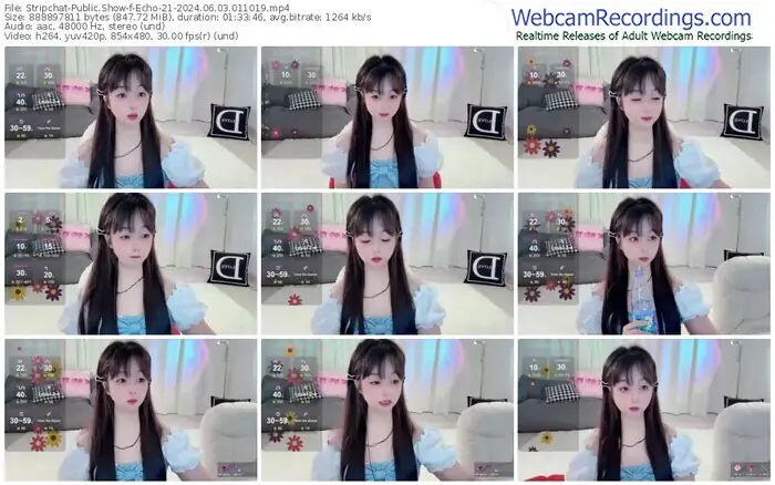 2024/06/03/stripchat-echo-21-01-10-19