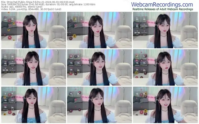 2024/06/03/stripchat-echo-21-06-19-33