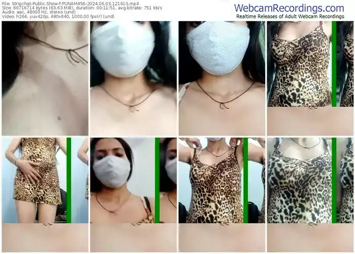 2024/06/03/stripchat-punam456-12-16-10