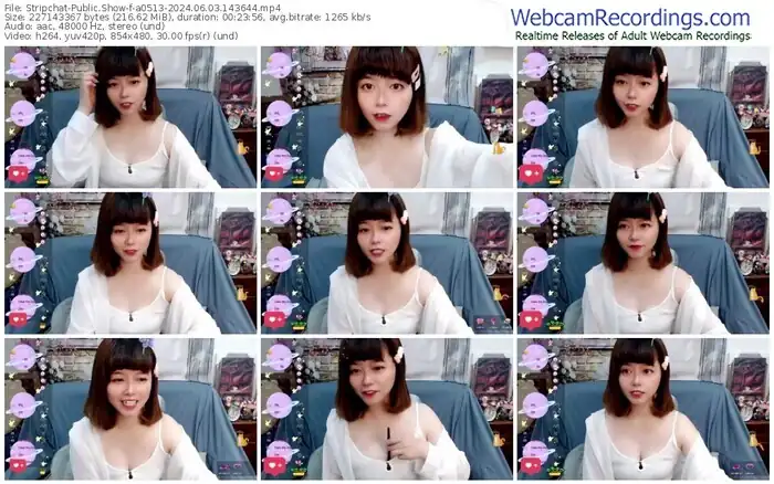 2024/06/03/stripchat-a0513-14-36-44