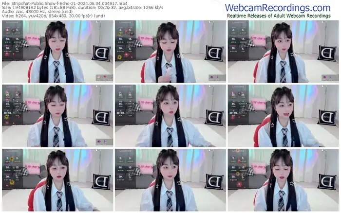 2024/06/04/stripchat-echo-21-03-49-17