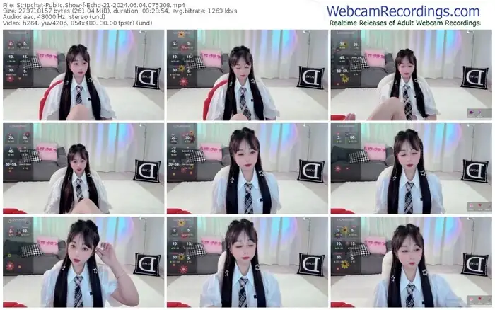 2024/06/04/stripchat-echo-21-07-53-08