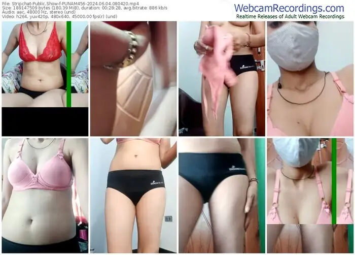 2024/06/04/stripchat-punam456-08-04-20