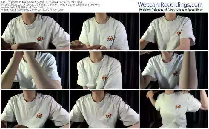 2024/06/04/stripchat-gentle1813-16-52-43