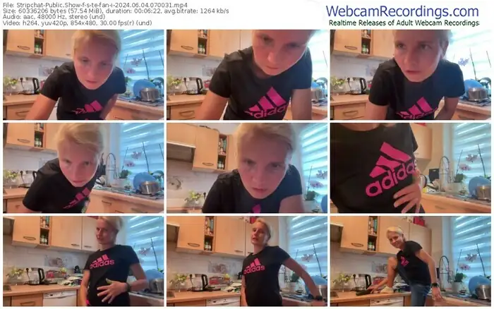 2024/06/04/stripchat-s-te-fan-i-07-00-31