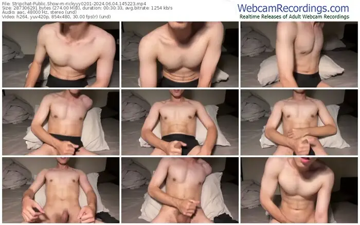 2024/06/04/stripchat-rickyyy0201-14-52-23
