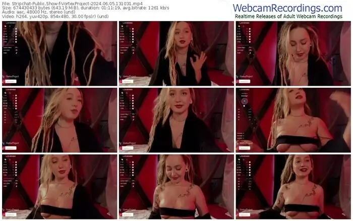 2024/06/05/stripchat-vortexproject-13-10-31