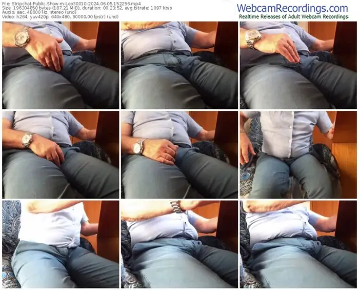 2024/06/05/stripchat-leo30010-15-22-56