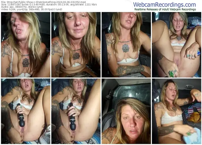 2024/06/06/stripchat-sheissomething-03-10-52
