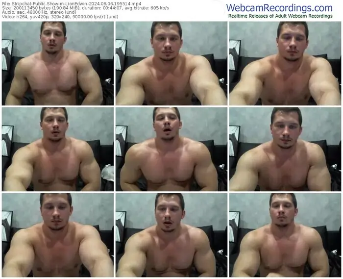 2024/06/06/stripchat-lionedwin-19-55-14