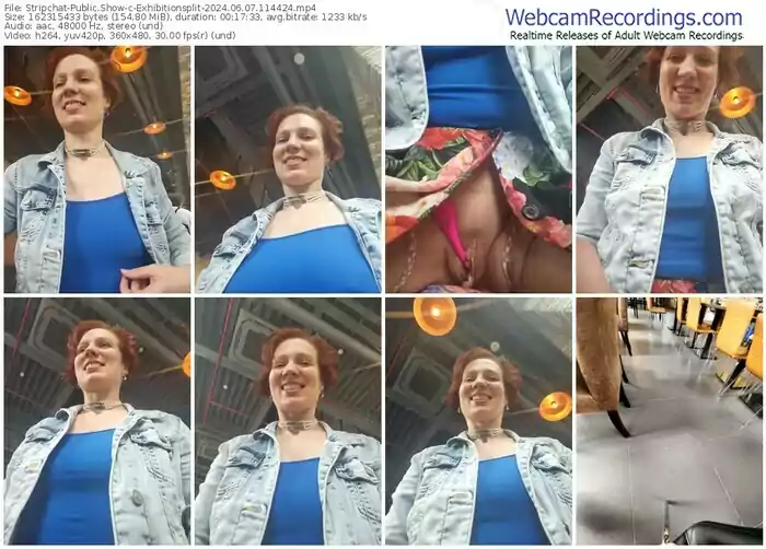 2024/06/07/stripchat-exhibitionsplit-11-44-24