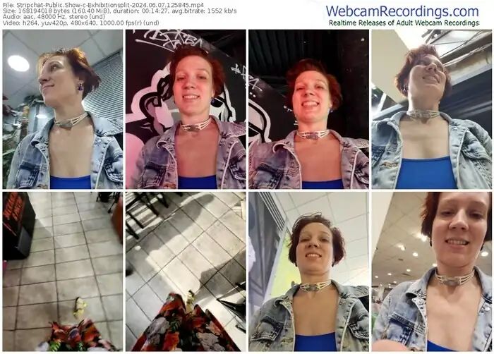 2024/06/07/stripchat-exhibitionsplit-12-58-45