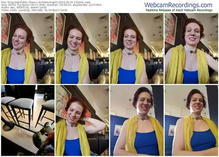 2024/06/07/stripchat-exhibitionsplit-14-29-41