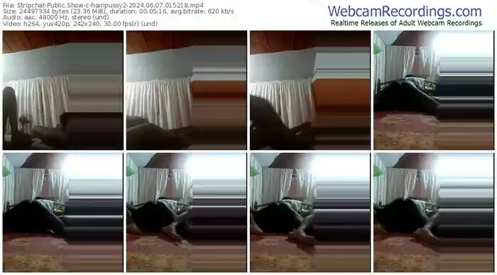 2024/06/07/stripchat-hairipussy2-01-52-18