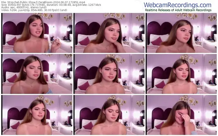 2024/06/07/stripchat-zarabloom-17-28-51