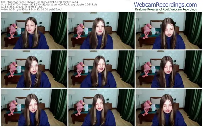 2024/06/08/stripchat-lilibakery-23-58-51