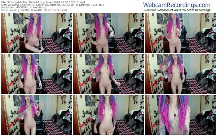 2024/06/08/stripchat-roxy_silver-20-23-13
