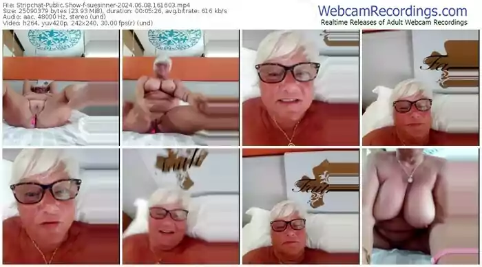 2024/06/08/stripchat-suesinner-16-16-03