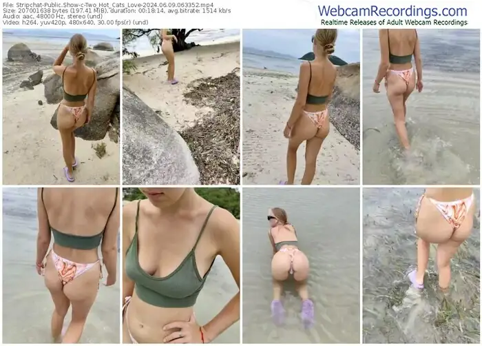 2024/06/09/stripchat-two_hot_cats_love-06-33-52