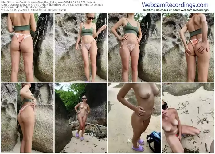 2024/06/09/stripchat-two_hot_cats_love-08-32-13
